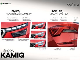 kamiq alsas 10