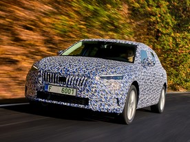 Škoda Scala covered