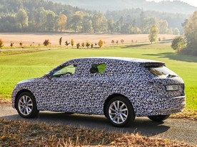 Škoda Scala covered
