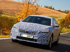 Škoda Scala covered