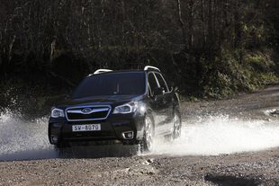 Subaru Forester MY 2013