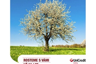 UniCredit Leasing 2010