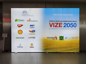 Vize 2050 poster