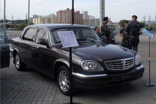 Volha 31105