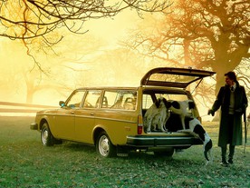 Volvo 245 DL